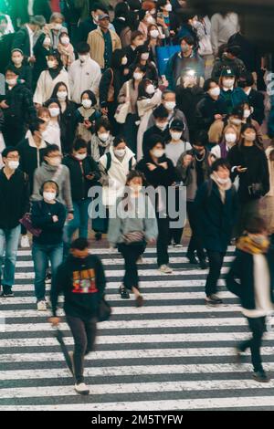 Menschenmassen überqueren die Straße an Shibuyas Streifzug Stockfoto