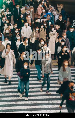 Menschenmassen überqueren die Straße an Shibuyas Streifzug Stockfoto