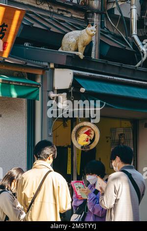 Touristen in Yanaka Ginza Shitamachi Stockfoto