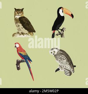 Vektorisierte Mischung Vintage Birds Aufkleber Design Ressource Stock Vektor