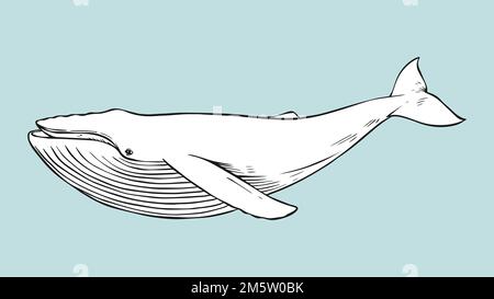 Vektorwal Vintage Schwarz-Weiß-Clipart Stock Vektor