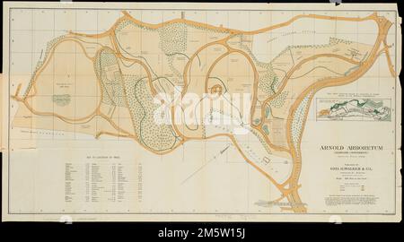 Karte des Arnold Arboretum mit den Bäumen und Sträuchern. Ausrichtung mit Norden oben rechts. Enthält Index zur Position von Bäumen... Arnold Arboretum (Harvard University) Jamaica Plain, Mass. Arnold Arboretum (Harvard University) Jamaica Plain, Mass, Massachusetts , Suffolk , County , Boston , Jamaika Plain Arnold Arboretum Stockfoto