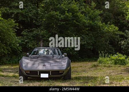 Stachelrochen Corvette C3 unter dem Baum Stockfoto