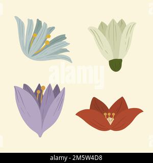 Blühende Winter Botanicals Social Ads Vorlagenvektor Stock Vektor