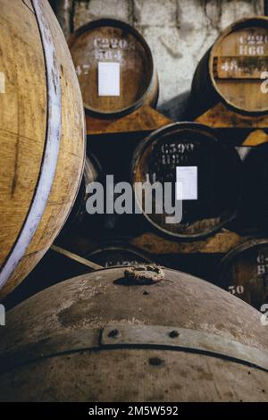 Blick auf den Armagnac-Weinkeller und Fässer von Jean Cavé, eine Art Weinbrand aus dem Südwesten Frankreichs (Gers) Stockfoto