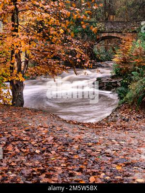Im Herbst im North Yorkshire Moor National Park dreht sich ein Wasserbecken. Stockfoto