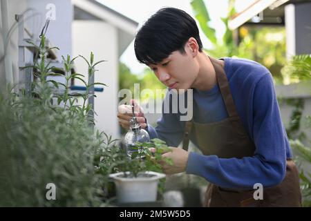 Junger asiatischer Mann, der sich um Pflanzen kümmert, Pflanzen mit reinem Wasser aus einer Sprühflasche besprüht. Hobbykonzept Gartenarbeit Stockfoto