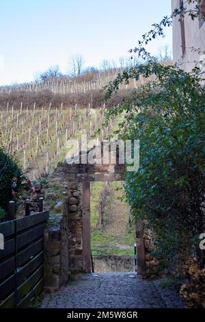 Spaziergang durch Riquewihr, Elsass, Frankreich Stockfoto