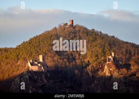 Blick von Hunawihr auf die drei Schlösser Ribeauvillé, Elsass, Frankreich Stockfoto