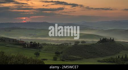 Hügelige Landschaft mit Anwesen Podere Belvedere bei Sonnenaufgang, Val dOrcia, San Quirico dOrcia, Provinz Siena, Toskana, Italien Stockfoto