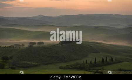 Hügelige Landschaft mit Anwesen Podere Belvedere bei Sonnenaufgang, Val dOrcia, San Quirico dOrcia, Provinz Siena, Toskana, Italien Stockfoto