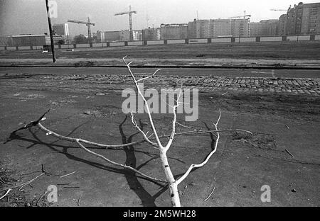 DDR, Berlin, 16. 03. 1990, Mauer zwischen Potsdamer Platz und Brandenburger Tor, Häuser in der Wilhelmstraße Stockfoto