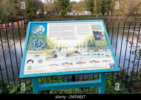 Sprotbrough und Warmsworth Fish and Ael Pass am Fluss Don, gegenüber Boat Inn, Sprotbrough, Doncaster, South Yorkshire, England, Großbritannien Stockfoto