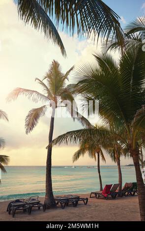 Tropischer Strand an der mexikanischen Karibikküste mit Kokospalmen. Stockfoto