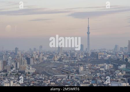 Tokio, Japan. 10. November 2022. Der Tokyo Skytree TV-Kommunikationsturm und die Aussichtsplattform aus dem Norden Tokios in Oji, in der Nähe der Grenze zwischen Tokio und Saitama bei Sonnenuntergang mit der städtischen Entwicklungslandschaft im Vordergrund. Skytree wurde in den letzten zehn Jahren erbaut, um die Sendezeit vom berühmten Tokyo Tower in Minato City zu übernehmen. Das zunehmend von stark wachsenden Entwicklungssignalen umgeben war, die die Ausstrahlung blockieren, wobei die Bevölkerung Tokios erheblich zunahm.Japan hat sich nach über zwei Jahren Reiseverboten aufgrund der COVID-19-Pandemie vor kurzem wieder für den Tourismus geöffnet. Die Yen h Stockfoto