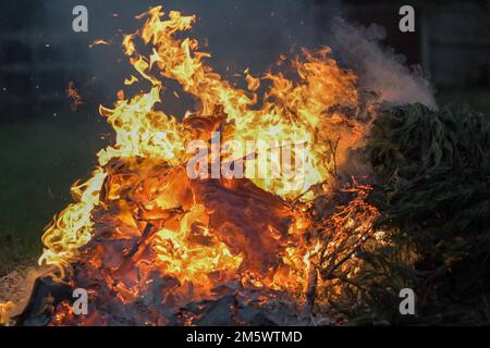 Ein wütendes Feuer mit tiefen orangefarbenen und gelben Flammen, Gartenlagerfeuer Stockfoto