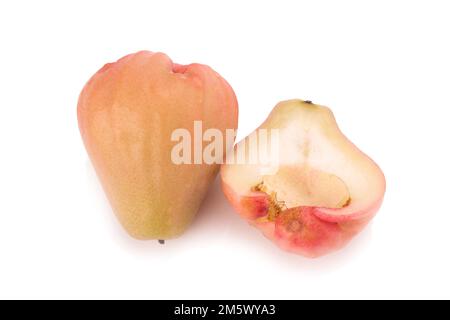 Rosenäpfel isoliert auf weißem Hintergrund. Stockfoto