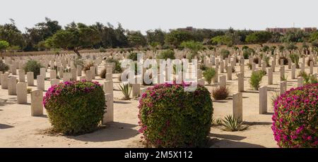 Der Commonwealth-Militärfriedhof in Al Alamein, Nordküste Ägyptens, Nordafrika Stockfoto