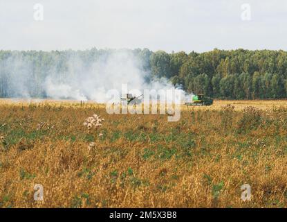 Erntemaschinen, die auf dem Feld arbeiten, wo das Unkraut verbrennt Stockfoto