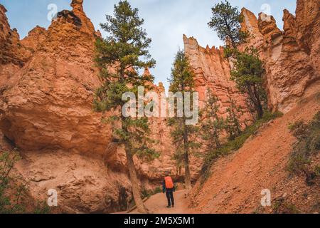 Wandern Sie auf dem navajo Loop Trail am bryce Canyon Stockfoto