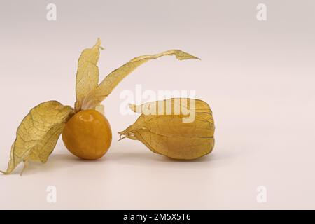 physalis Fruit, Goldene Beeren mit gesundheitlichen Vorteilen, typische Physalis Fruit ist ähnlich wie eine feste Tomate in Textur, und wie Erdbeeren oder pi Stockfoto