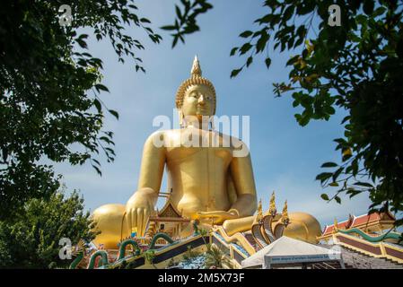 The Wat Muang in the Village of Wiset Chai Chan in the Province of Ang Thong in Thailand, Thailand, Ang Thong, November 2022 Stockfoto