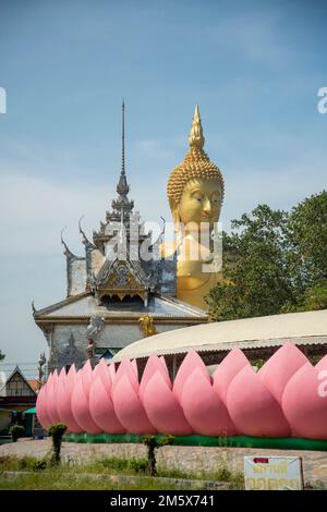 The Wat Muang in the Village of Wiset Chai Chan in the Province of Ang Thong in Thailand, Thailand, Ang Thong, November 2022 Stockfoto