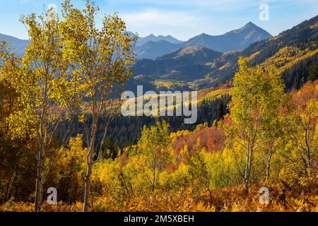 Herbstfarben in den Utah-Bergen Stockfoto