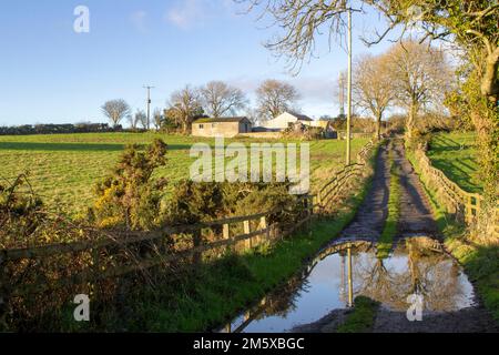 Dezember 2022 Weiche Wintersonne auf einer überfluteten Farm Lane, die zu einem lokalen Hof und Familienheim in der Nähe von Dundonald im County Down Northern Ireland führt Stockfoto