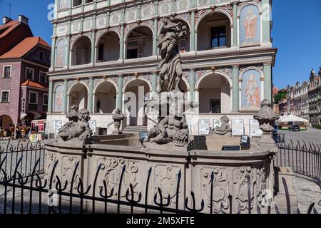 Ein Proserpinbrunnen und das Rathaus auf dem alten Marktplatz, Posen, Polen Stockfoto