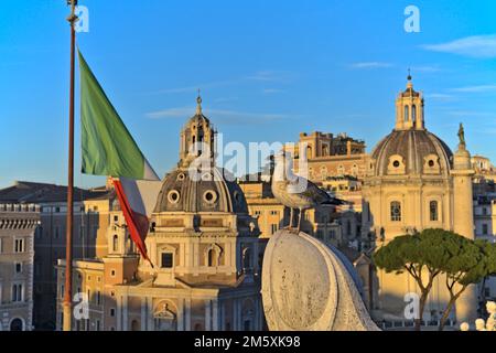 Blick auf die Basilika Ulpia von Altare della Patria am späten Nachmittag. Eine Taube im Vordergrund und die italienische Flagge Stockfoto