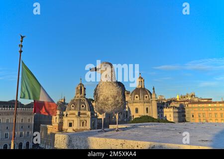 Blick auf die Basilika Ulpia von Altare della Patria am späten Nachmittag. Eine Taube im Vordergrund und die italienische Flagge Stockfoto