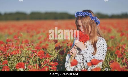 Ein ukrainisches Mädchen sammelt und riecht einen Mohnstrauß auf einem Mohnfeld. Stockfoto