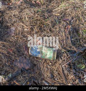 Weggeworfenes leeres Metall Carslberg Bier kann an einem Flussufer entsorgt werden, wo es mit der Zeit von verschiedenen Flutwasser hin- und hergewaschen wurde. Stockfoto