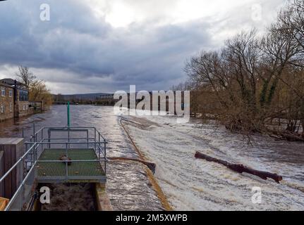 Das Wehr an der River Wharfe in Otley mit dem Fluss in Schuss nach heftigem Regen in Yorkshire im späten Winter. Stockfoto