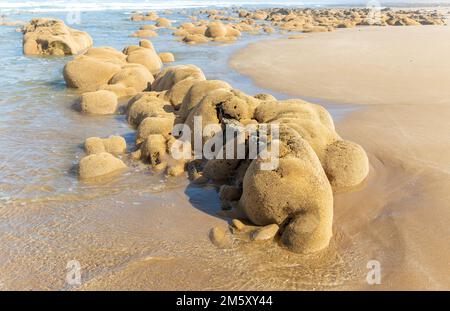 Sabellaria alveolata Wabenwurmriff, Mimid Beach, Sidi Boufdail, MIRLEFT, Marokko, nordafrika Stockfoto