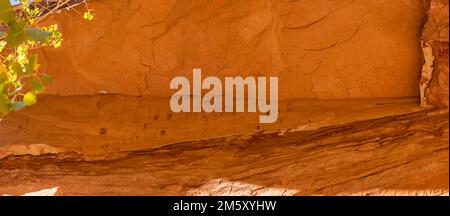 Grüne Maske Ruiniert. Rucksacktouren in Grand Gulch und Anasazi-Wohnungen und Felskunst. In Der Nähe Von Blanding, Utah, Usa. Stockfoto