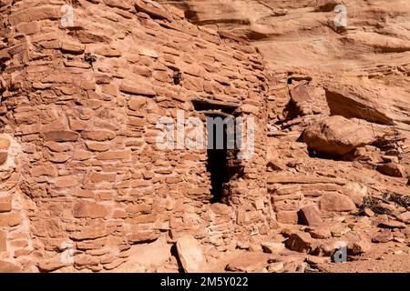 Splitebene - Ruin. Rucksacktouren in Grand Gulch und Anasazi-Wohnungen und Felskunst. In Der Nähe Von Blanding, Utah, Usa. Stockfoto