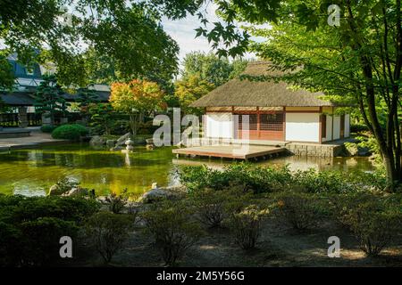 Teehaus im japanischen Garten in Hamburg (Teil des botanischen Gartens Planten un Blomen) in Hamburg und Herbstblattfarbe im kommenden Herbst! Stockfoto