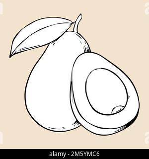 Vector Vintage Avocado schwarz-weiß Clipart Stock Vektor