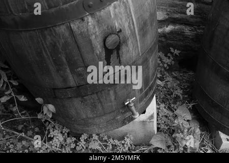 Altes Holzfass für die Wassersammlung Stockfoto