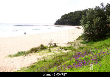 Mollymook Beach an der Südküste von NSW, Australien. Stockfoto