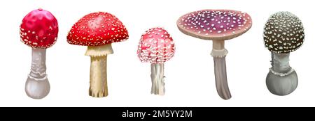 Aquarell rote Fliege agarisch einstellen. Realistische Fliegenpilze. Giftige Pilze Stockfoto