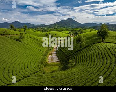 Luftaufnahme des wunderschönen Sonnenuntergangs am Long Coc Tea Hill, Provinz Phu Tho, Vietnam Stockfoto