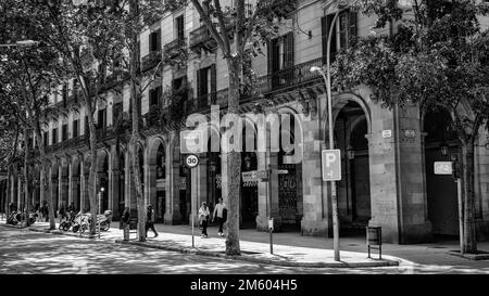 Bögen in Passeig de Picasso, El Born, Barcelona, Katalonien, Spanien Stockfoto