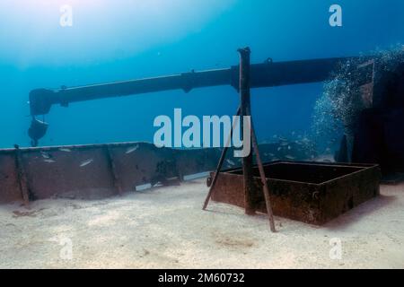 Das Wrack des MS Sherice M. in South Bimini, Bahamas Stockfoto