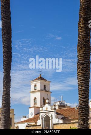 Blick auf die Kirche Santa Maria zwischen zwei Palmen in Merida, Spanien Stockfoto