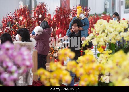 Wuhan, Chinas Provinz Hubei. 1. Januar 2023. Besucher besuchen am 1. Januar 2023 einen Blumenmarkt in Wuhan, der Provinz Hubei in Zentralchina. Kredit: Xiao Yijiu/Xinhua/Alamy Live News Stockfoto