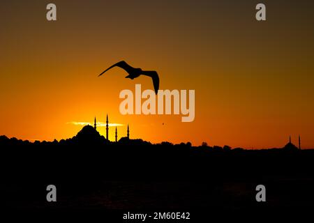 Blick auf Istanbul bei Sonnenuntergang. Suleymaniye Moschee und Möwe. Islamisches oder kandil- oder ramadan- oder kadir gecesi- oder Laylat al-qadr-Hintergrundbild. Stockfoto