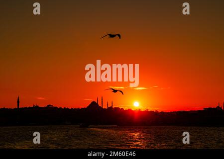 Blick auf Istanbul. Möwen und Silhouette der Stadtlandschaft von Istanbul bei Sonnenuntergang. Reisen Sie nach Istanbul oder ramadan oder ein islamisches Hintergrundfoto. Stockfoto